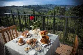 TERRAZZA VIGNA